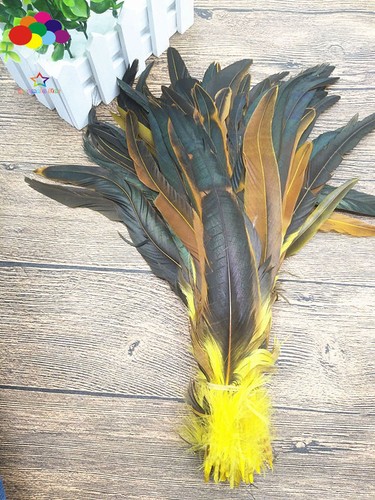 100 Stck. 12-14 Zoll/30-35 cm natürlicher Hahn Hühnerschwanzfedern zum Selbermachen Karneval Handwerk - Bild 9 von 22