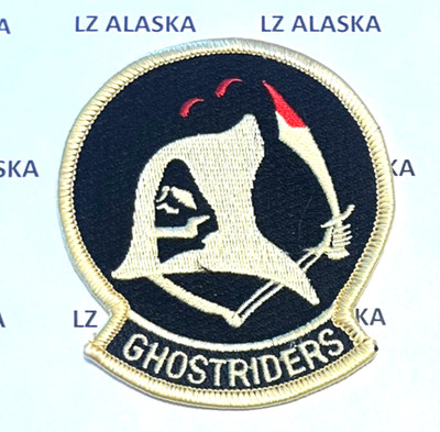 US NAVY VF-142 GHOSTRIDERS FIGHTER SQUADRON F-14 TOMCAT PATCH N8