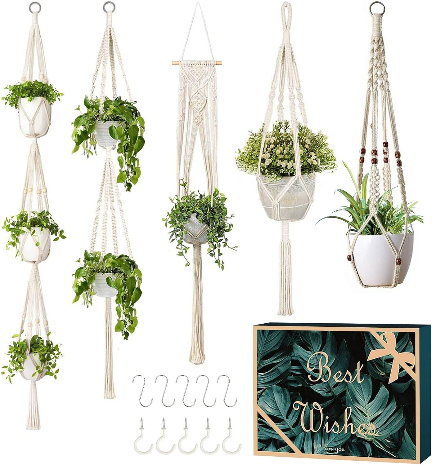 GROWNEER 5 Packs Macrame Plant Hangers with 5 Hooks, Different Tiers White 