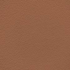 BMW Amaro Brown Leather Dye