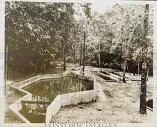 1938 Press Photo Trout Pools at Insular Fish Hatchery, Maricao, Puerto Rico