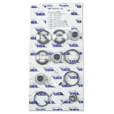 Cat Pumps 30686 VALVE KIT QV (Quiet Valve) fits 280, 290, 333, 430 Pumps, OEM