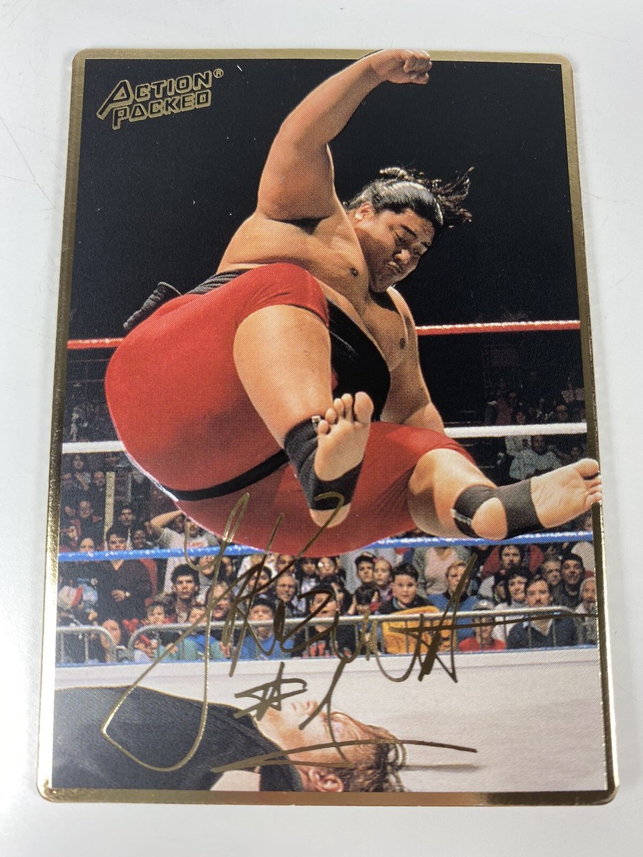WCW カード 72枚 1991 WCW #116 Rick Steiner Brothers Red Border Impel