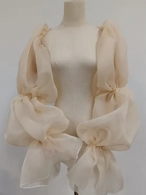 Gants De Mariée En Organza Fins Sans Doigts, Manches Longues Couleur Champagne - Photo 1/4