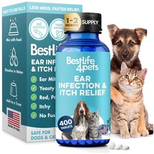 Natural Itch Relief for Dogs  Cats