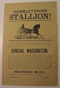 1895 handbill for stud service- trotting stallion out of Hambletonian; Clay Hill