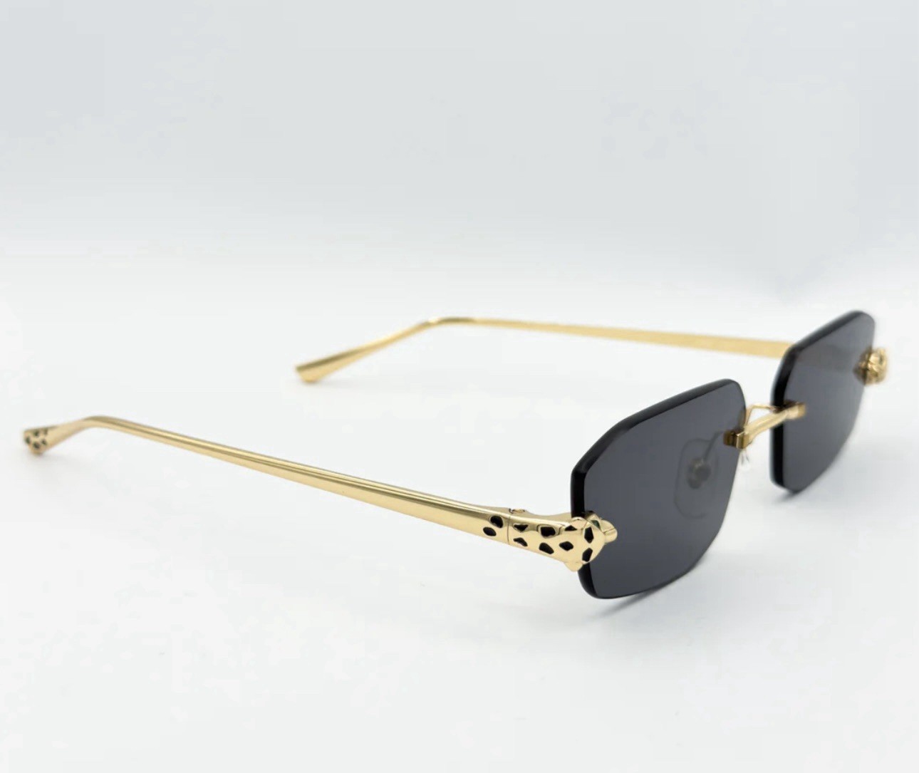 Cartier CT0474S Luxury Stainless Steel Watch-image