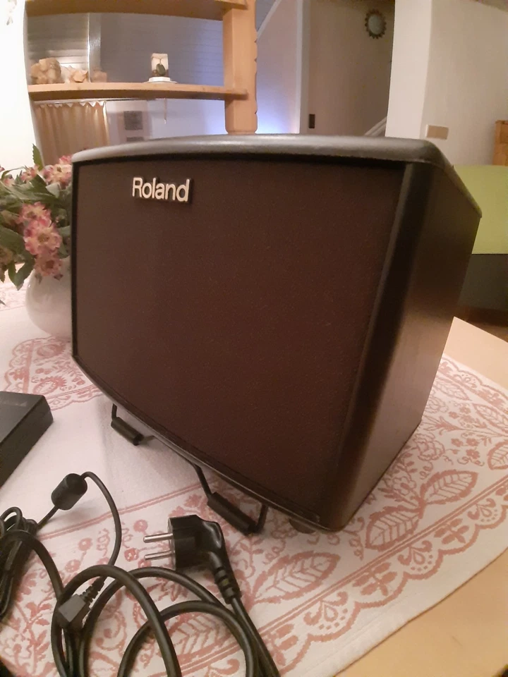 Roland AC 33 Roose-Wood plus Sennheiser-Micro S 815 mit Kabel - Bild 3 von 4