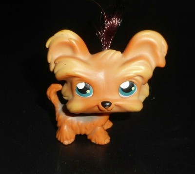 lps yorkie