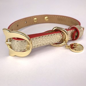 metal cat collar