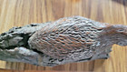 Antique  Hardwood Bird quail Log sculpture Carving — photo 3