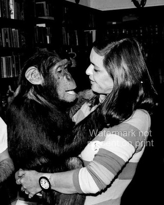 Lucia Bosé Photo 8x10 1968 Villa Paz Saelices Cuenca Spain Monkey Actress-1
