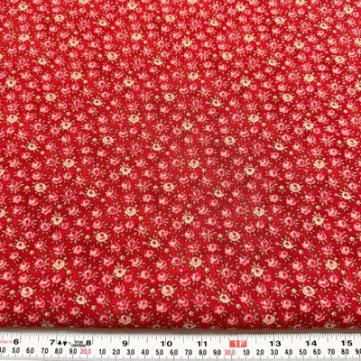 Select Basics by Robyn Pandolph for SSI Floral on Red Cotton by the HALF YARD