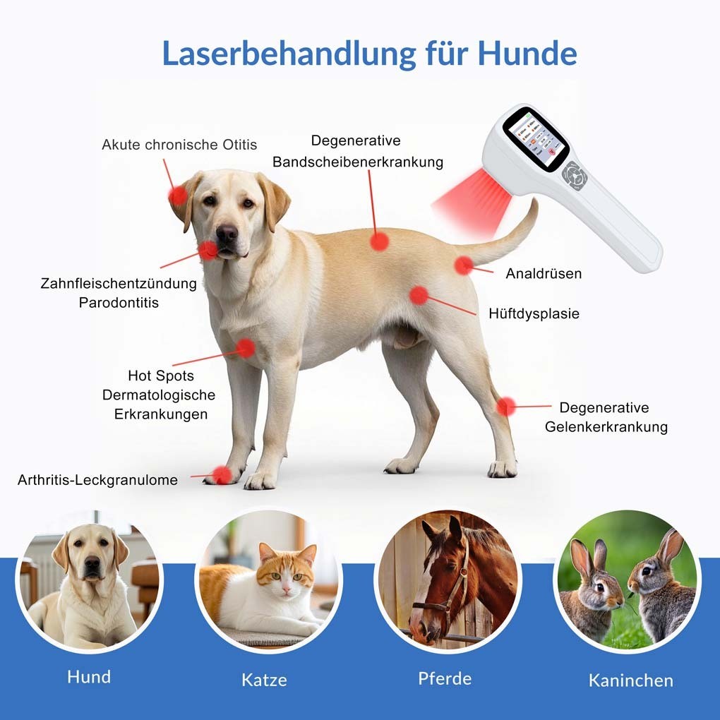 Bild 5 von 15