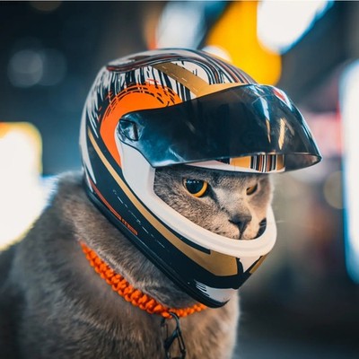 Pet Helmets,Cat Helmet,Dog Helmet-Outdoor Mini Head Protecting Safe Hat,Pet Phot