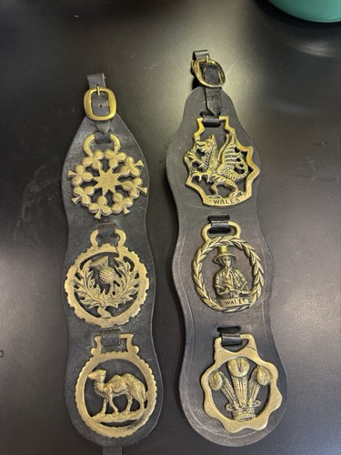 Vintage Brass Horse Saddle Bridle Medallions On Leather Display Straps