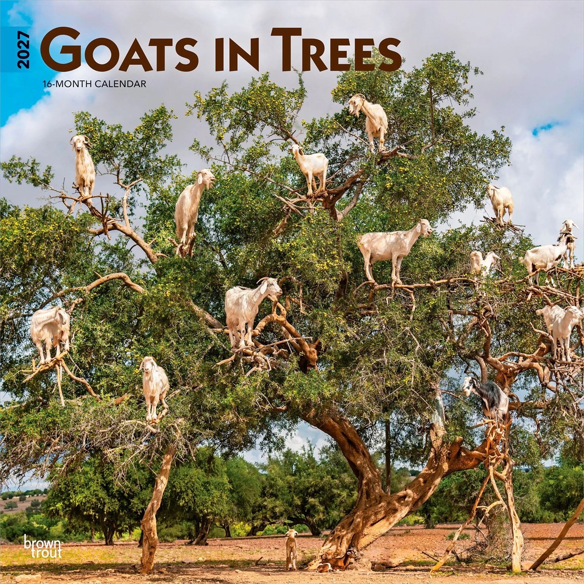 Goats in Trees 2027 12 X 24 Inch (Hanging) Monthly Square Wal... - 9798330712052 - Image 3
