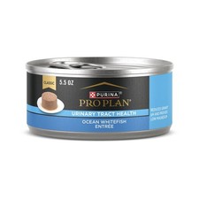 Urinary Tract Health Ocean Whitefish Wet Cat Food 5.5 oz Cans 24 Pack