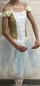 Girl Ballet Dress Size 12