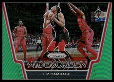 2021 Panini Prizm WNBA #10 Liz Cambage Widescreen Prizms Green