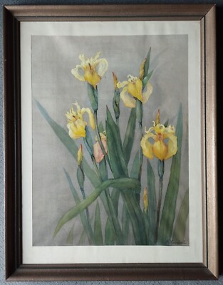 A. Kendall Aquarell Gemälde Schwertlilien Iris 57 x 42 cm