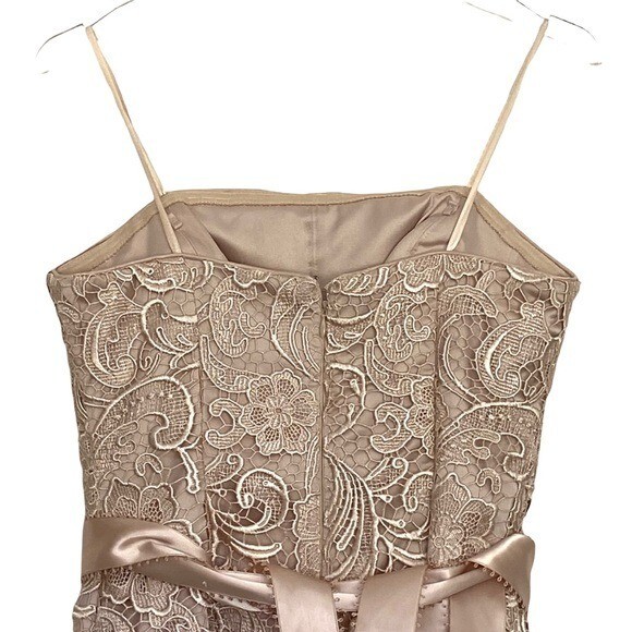 slim fit dress slacks Adrianna Papell Metallic Mesh Draped Gown