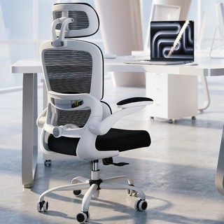 Ergonomic Office Chair for Auction Headrest Lumbar Support Mesh Black & White