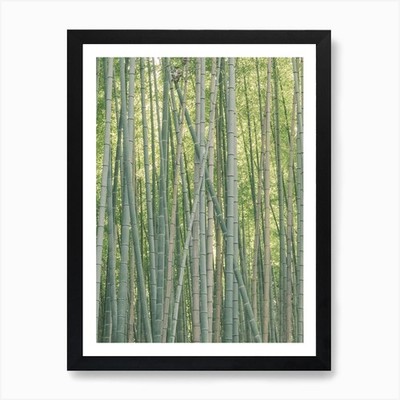 Bambuswald Kunstdruck gerahmt Wandbild Poster Leinwanddruck Bild