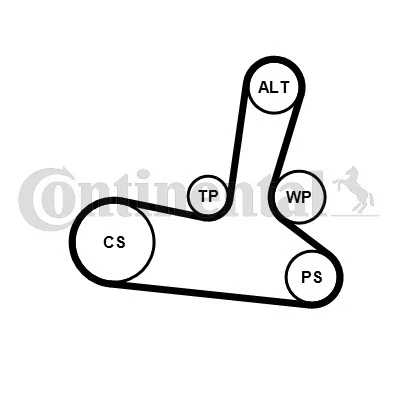 Juego de correas acanaladas 5PK1300K1 CONTINENTAL CTAM para AUDI, SKODA, VW Foto 2 de 3