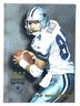 JAY NOVACEK Dallas Cowboys, Cardinals 1995 Playoff Absolute Football Card #60