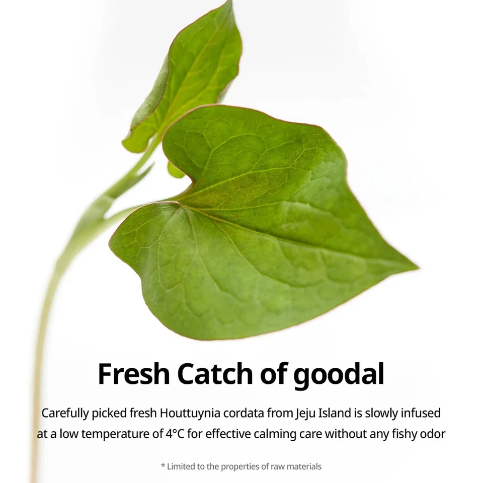 [GOODAL] Folha de Cuidados com Umidade Calmante Heartleaf pacote com 5, Vendedor dos EUA, FRETE GRÁTIS - Imagem 3 de 4