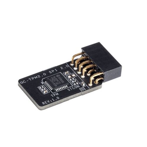 P - Gigabyte GC-TPM2.0 SPI 2.0 Module with SPI interface Exclusive for Intel ... - Picture 1 of 1