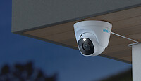 Reolink P344 (bianco/nero, 12MP) Network camera REO-P344