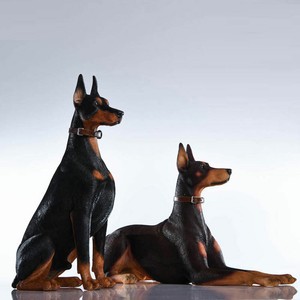 doberman figure