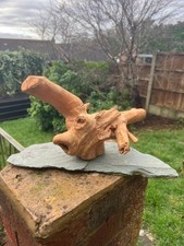 Driftwood On Slate Large Vivarium Reptiles Home Decor Wooden Wood #503