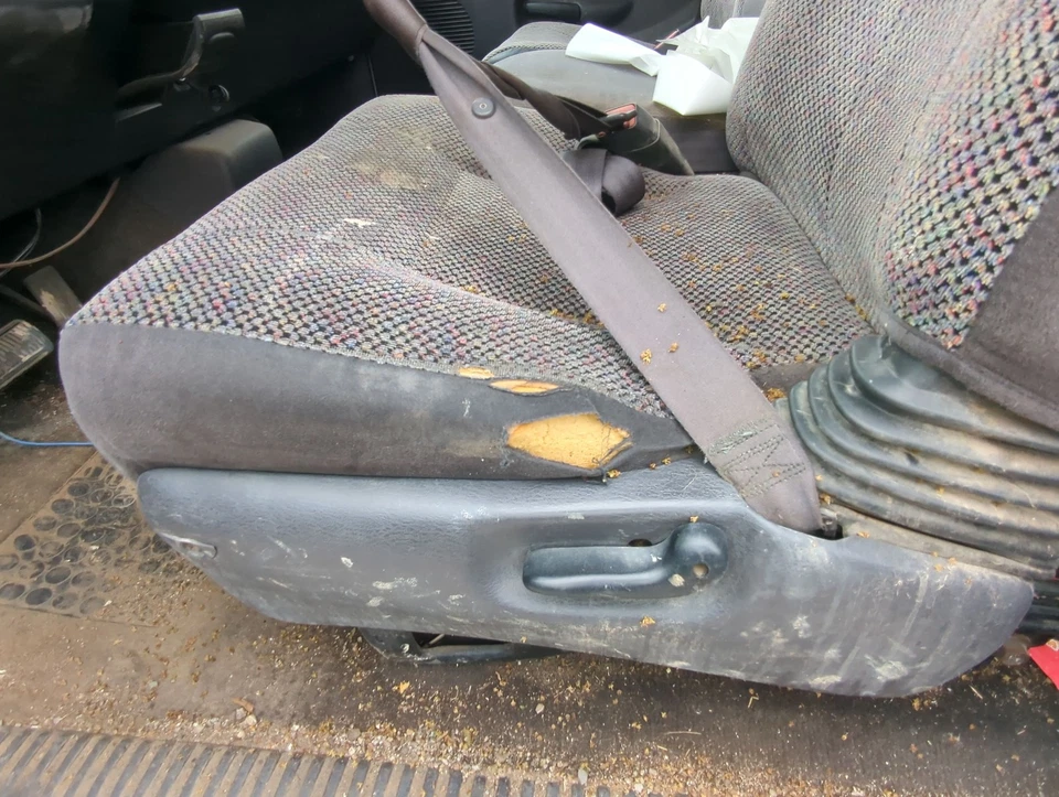 2000-2001 Dodge Ram 1500 Driver Front Seat Oem PUVUB Foto 2 de 2