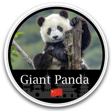 Magnet Me Up Giant Panda Magnet Decal- 5"Round Chinese Souvenir Magnet, USA Made