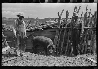 FSA Cooperative Boar,Farm Security Administration,Box Elder County,Utah,UT
