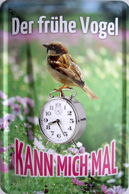 Schild Blechschild 20x30 cm - Der frühe Vogel kann mich mal Wecker früh schlafen