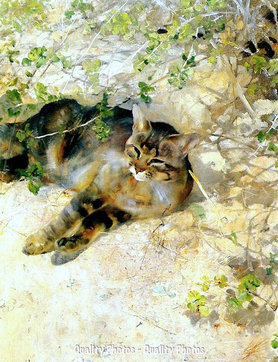 Swedish Sleeping Cat 8.5x11