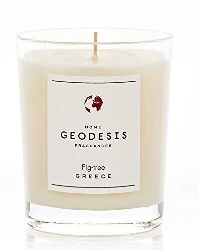 Geodesis Scented Candle Fig Tree 7.8 ounces - Picture 1 of 2