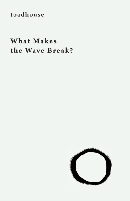 What Makes the Wave Break? by Toadhouse PAPERBACK 9781645250203