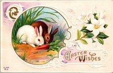Antique Postcard Easter Wishes Brown White Rabbits Carrot Peace Lily Emboss 1913