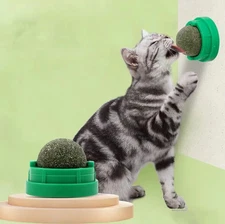 2pcs Catnip Wall Stick-on Ball Toys for Cats – Natural Dental Treats & Fun Chews