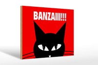 Holzschild Spruch 30X20 Cm Katze Banzaiii!!! Holz Deko Schild Wooden Sign
