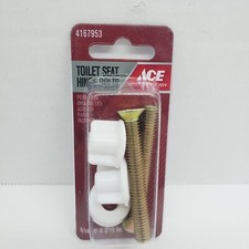 ACE Toilet Seat Hinge Bolts 5/16" x 2-1/2"   4167953