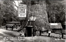 Redwood Highway California At Tree House Park Believe It Or Not Postcard Z27