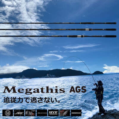 Daiwa Iso Rod Megathis AGS 1.25-50/ N (Spinning 5 Piece) | eBay