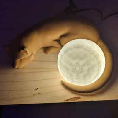 Sleeping Ferret Lamp, 3d printed