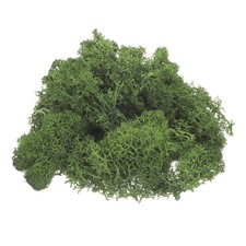 Preserved Reindeer Moss 4 OZ Fake Moss for Crafts Dark Green
